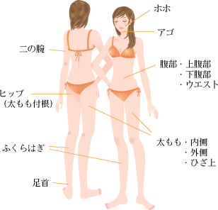 脂肪吸引部位