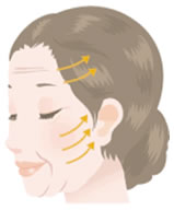 フェイスリフト