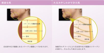 ファイル 16-2.jpg