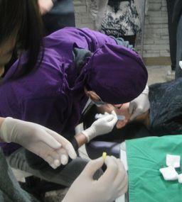 ファイル 20-1.jpg