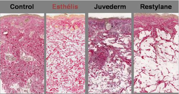 ファイル 43-2.png