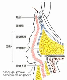 ファイル 56-1.jpg