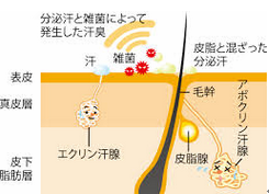 ファイル 62-1.png