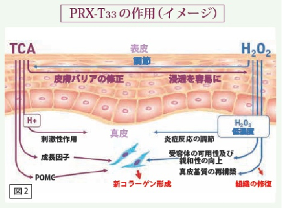 ファイル 81-2.png