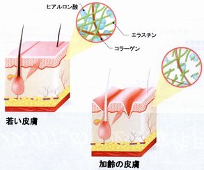 ファイル 89-2.jpg